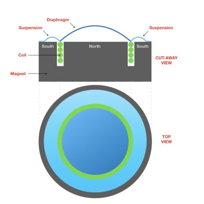 Top view and cut-away view of a typical dynamic transducer.