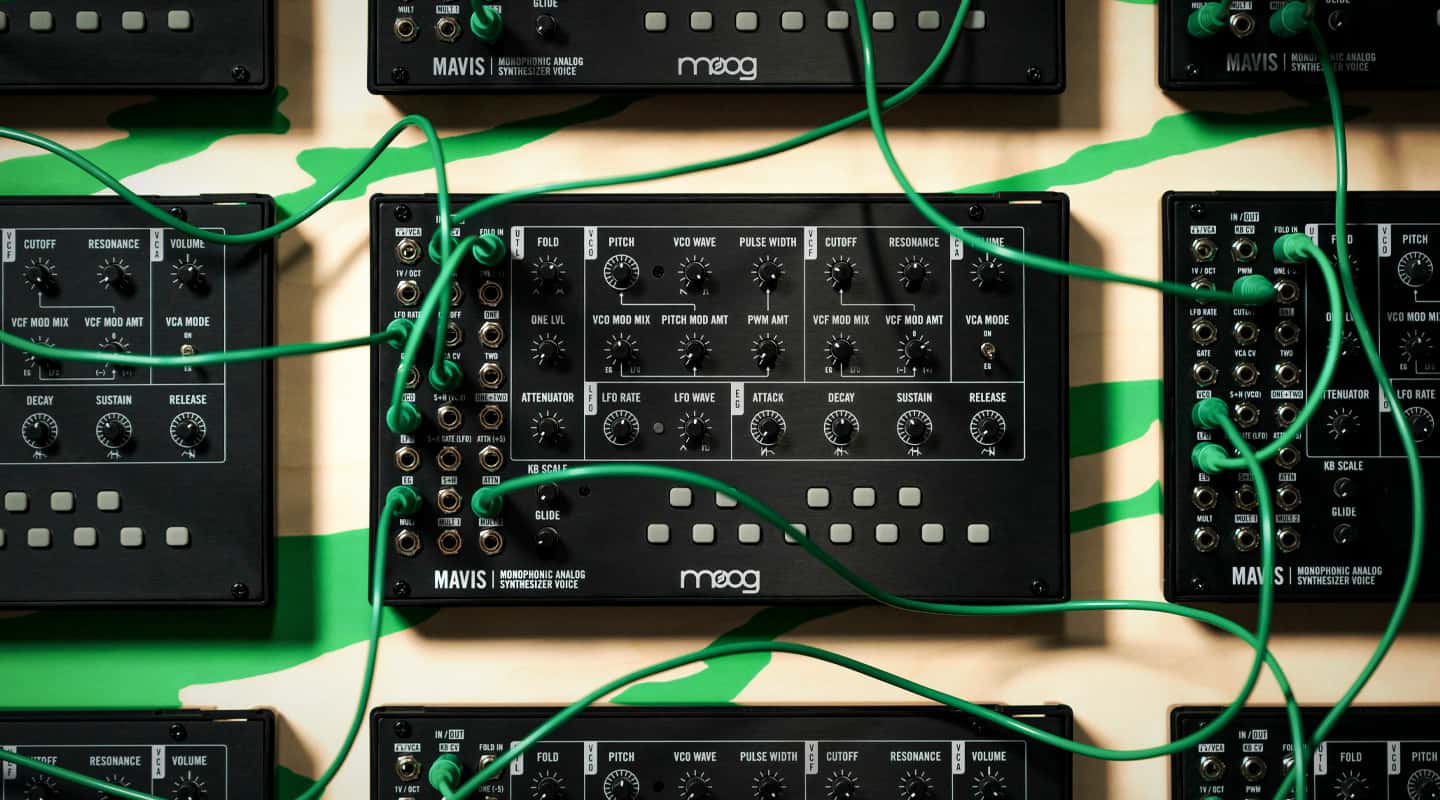 Review: Moog Mavis